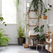 Beneficios de colocar plantas en tu baño
